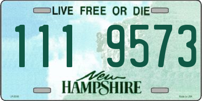 NH license plate 1119573