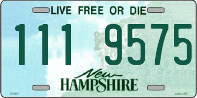 NH license plate 1119575