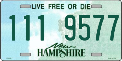 NH license plate 1119577