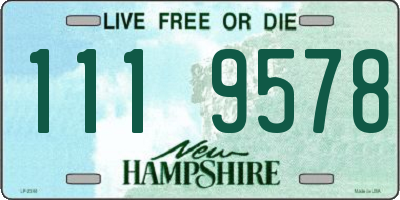 NH license plate 1119578