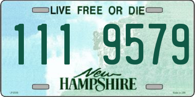 NH license plate 1119579