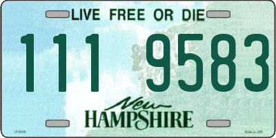 NH license plate 1119583