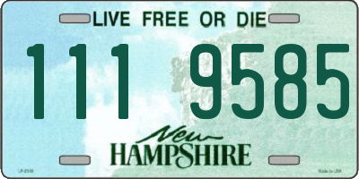 NH license plate 1119585