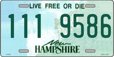 NH license plate 1119586