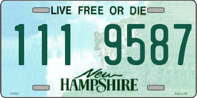 NH license plate 1119587