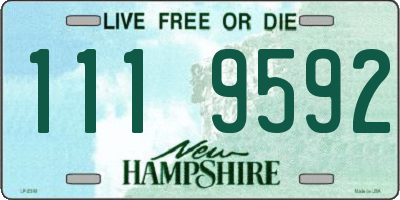 NH license plate 1119592