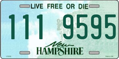 NH license plate 1119595