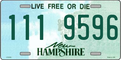 NH license plate 1119596
