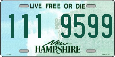 NH license plate 1119599