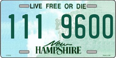 NH license plate 1119600