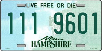 NH license plate 1119601