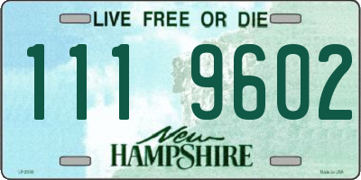 NH license plate 1119602