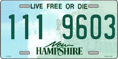 NH license plate 1119603