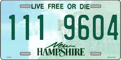 NH license plate 1119604
