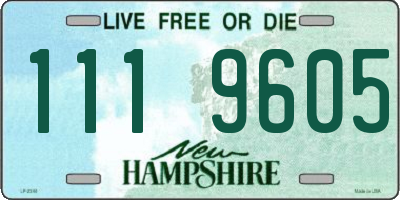NH license plate 1119605