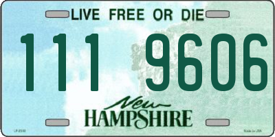 NH license plate 1119606