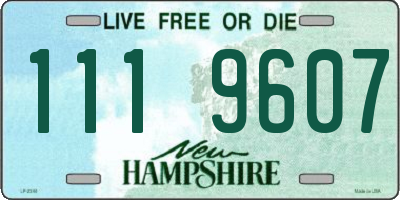 NH license plate 1119607