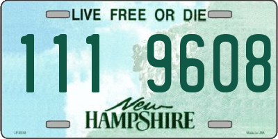 NH license plate 1119608