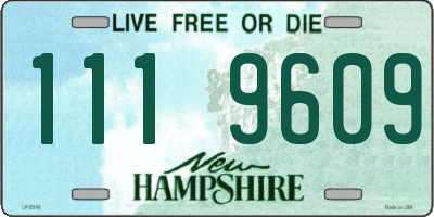NH license plate 1119609