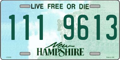 NH license plate 1119613