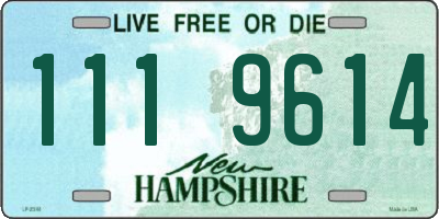 NH license plate 1119614