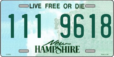 NH license plate 1119618