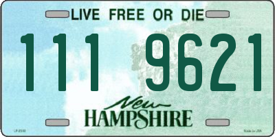 NH license plate 1119621