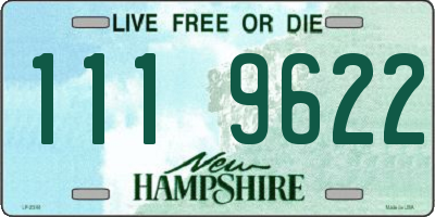 NH license plate 1119622
