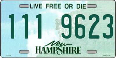 NH license plate 1119623