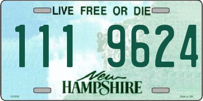 NH license plate 1119624