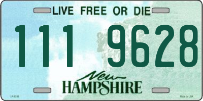 NH license plate 1119628
