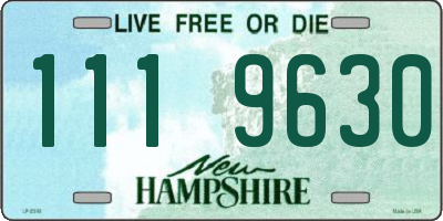 NH license plate 1119630