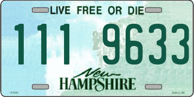 NH license plate 1119633