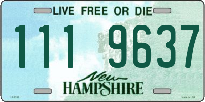 NH license plate 1119637