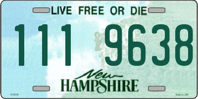 NH license plate 1119638