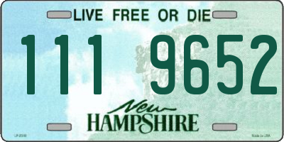 NH license plate 1119652