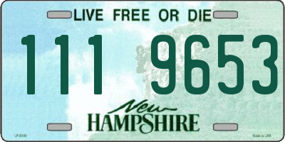 NH license plate 1119653