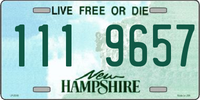 NH license plate 1119657