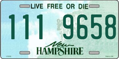 NH license plate 1119658