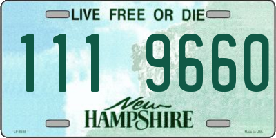 NH license plate 1119660