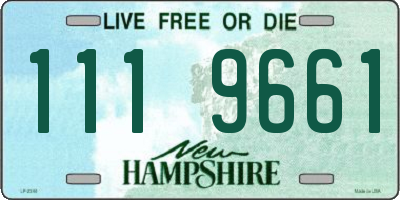 NH license plate 1119661