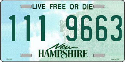 NH license plate 1119663