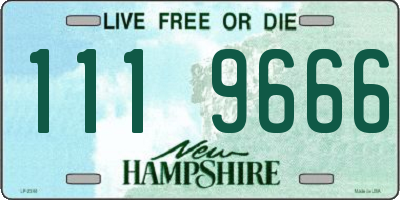 NH license plate 1119666
