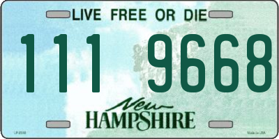 NH license plate 1119668