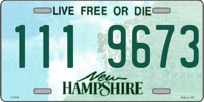 NH license plate 1119673
