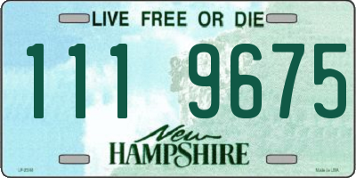 NH license plate 1119675