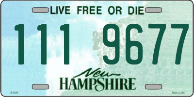 NH license plate 1119677