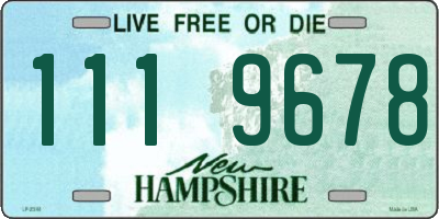 NH license plate 1119678