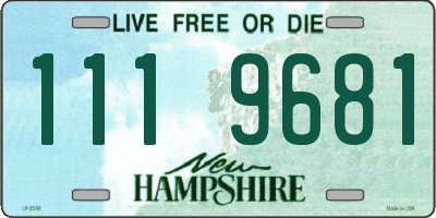 NH license plate 1119681