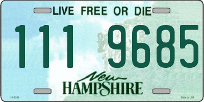 NH license plate 1119685